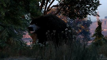 Bear - GTA5