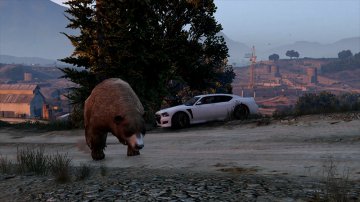 Bear - GTA5