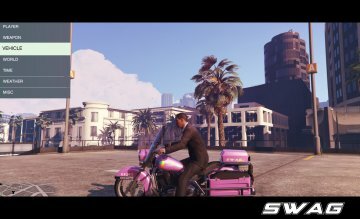 WTF Police - GTA5