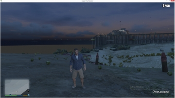 No-Water Mod - GTA5