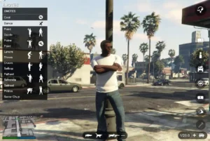 Emotes GTA 5 Menu Animations